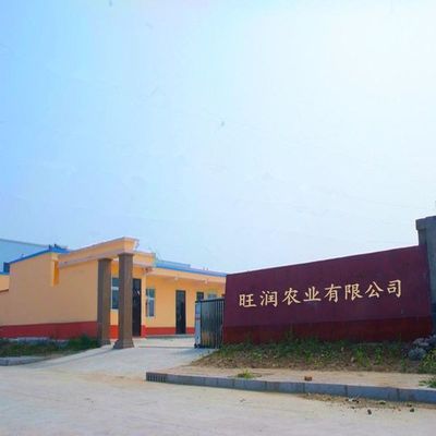 旺潤肥料廠家 專業有機肥與水溶肥定制加工，創新驅動農業未來